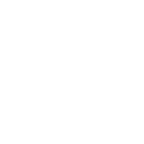 ruler_icon